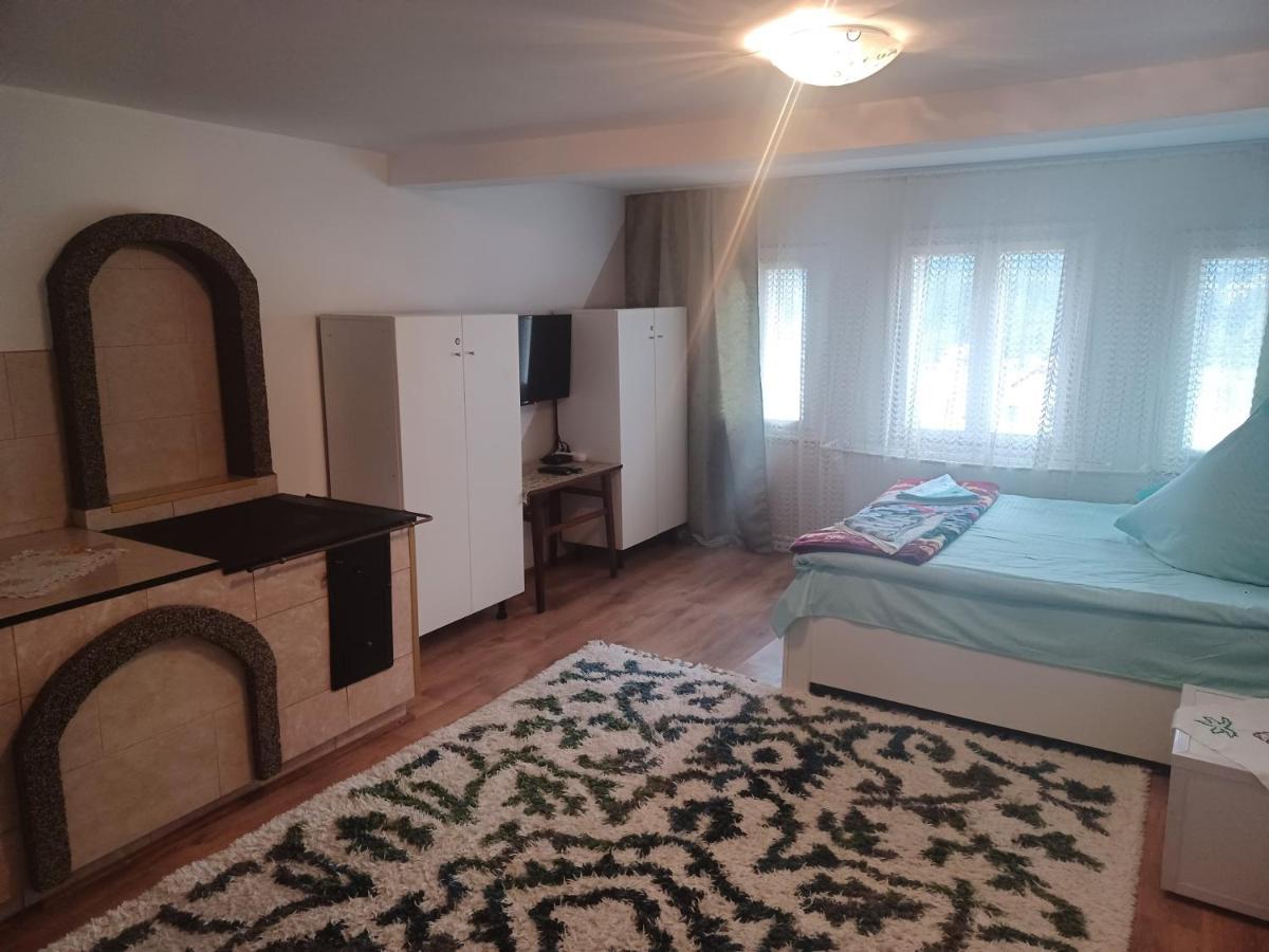 Casa Bucovina Dorna Candrenilor Ascutitele Exterior foto